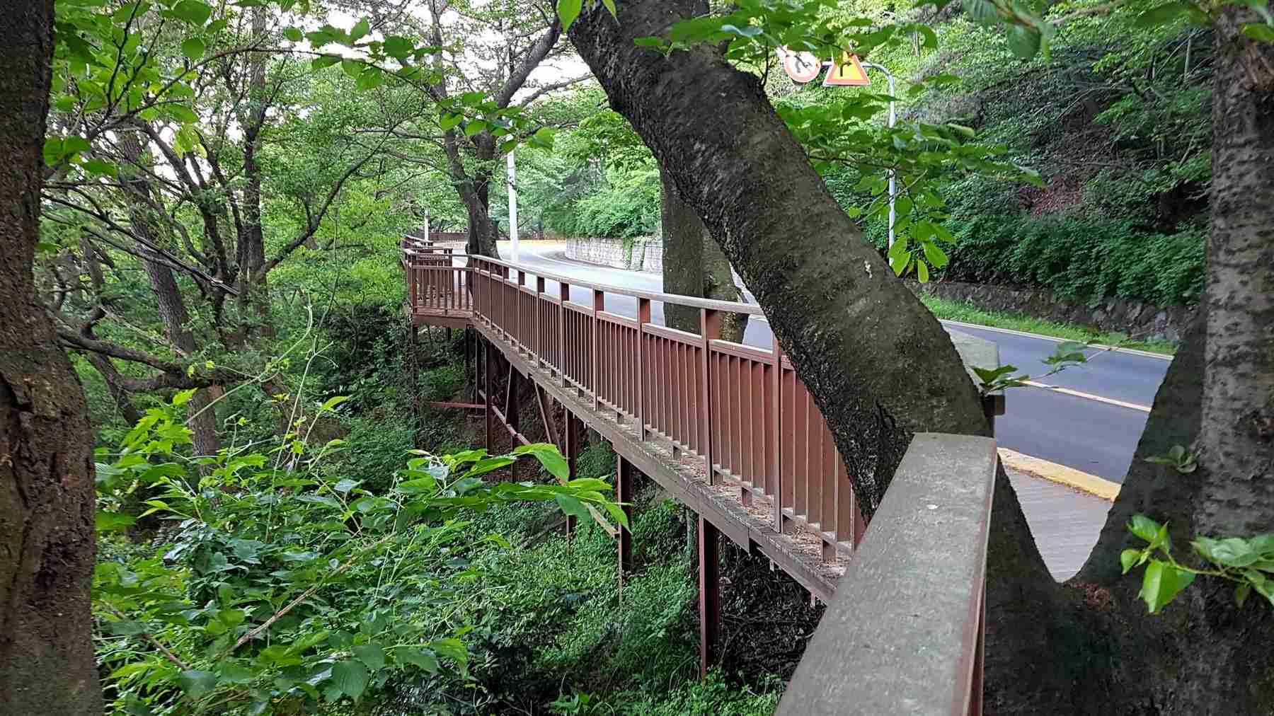 Busan-Haundae-Hill-Bike-Road-Trail-1