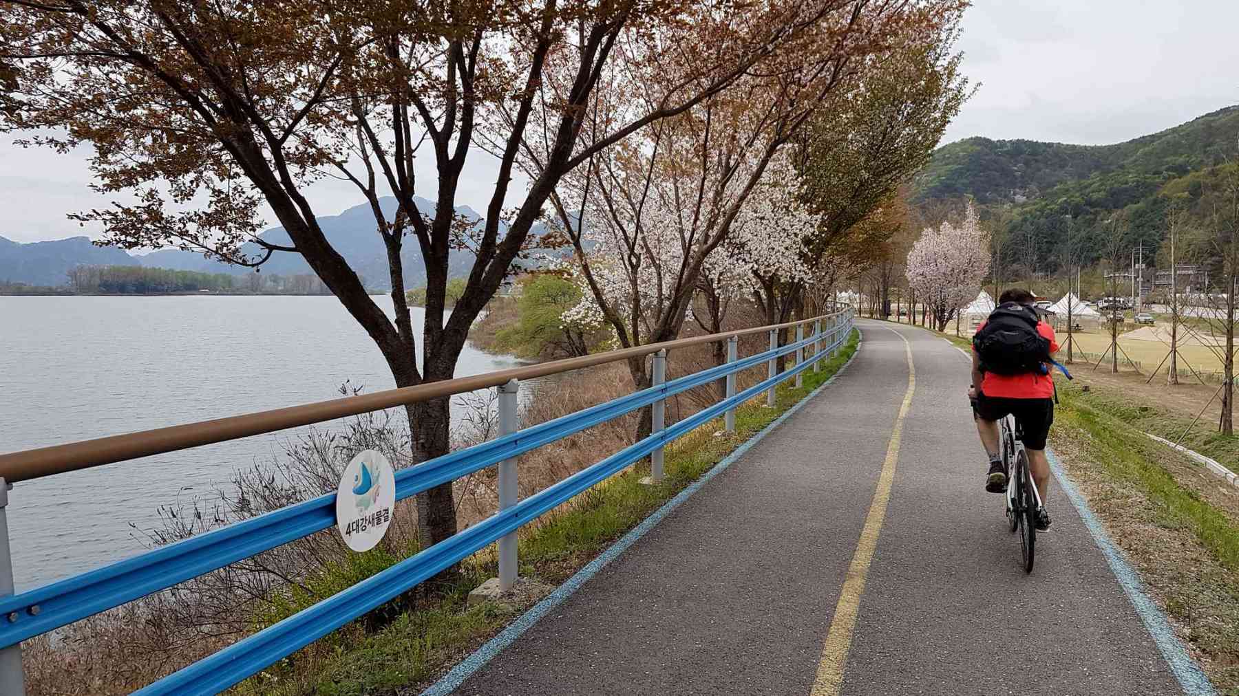 Chuncheon ⟷ Hanam Rider Cherry Blossoms River
