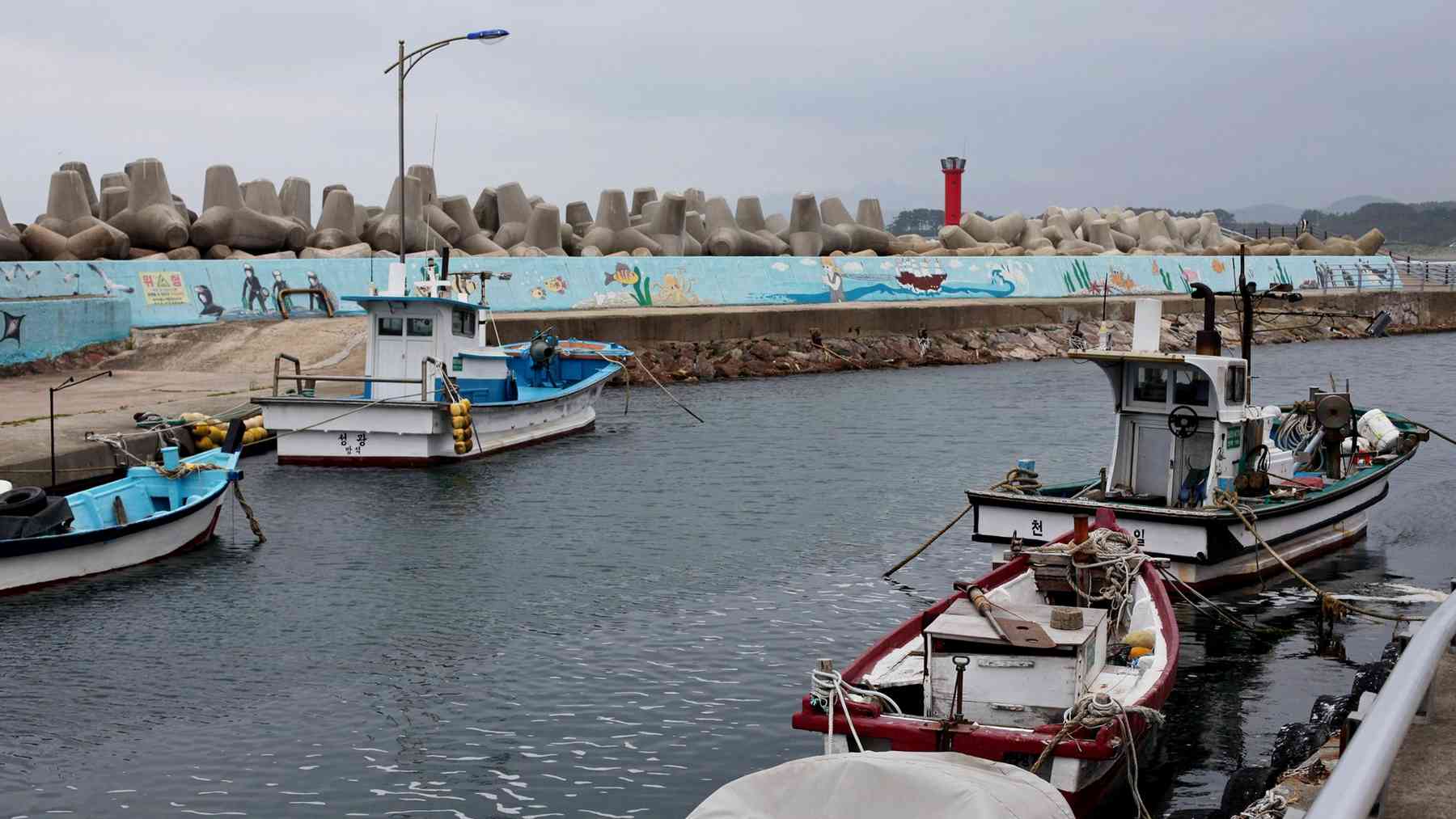East-Coast-2-Yeongdeok-Pohang-Boats-Mural-Wall