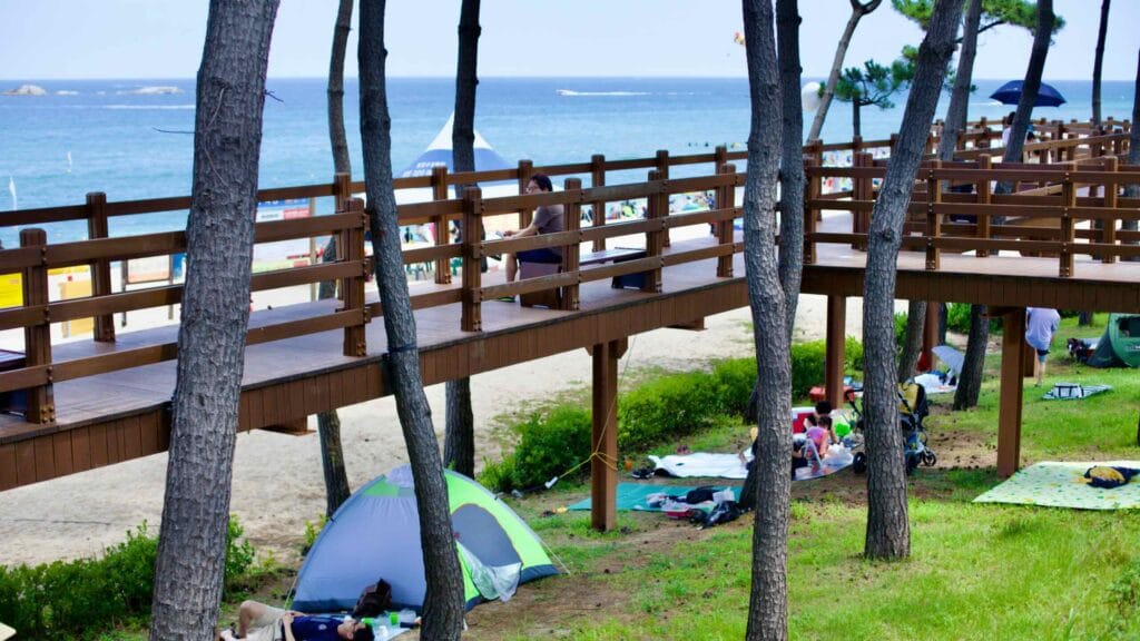 A serene walking platform stretches over a lush green lawn beside Gyeongpo Beach, with camping tents dotted around, pine trees, and the East Sea's tranquil waters in the background.