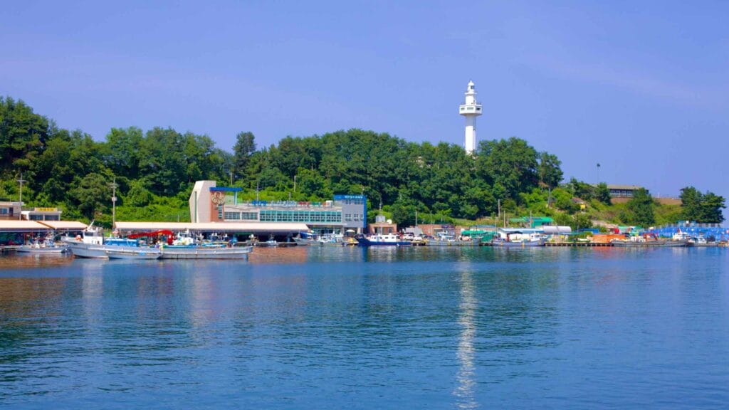 The waters of Daejin Port, with boats moored along the docks, surrounded by green gentle hills and the Daejin Lighthouse.