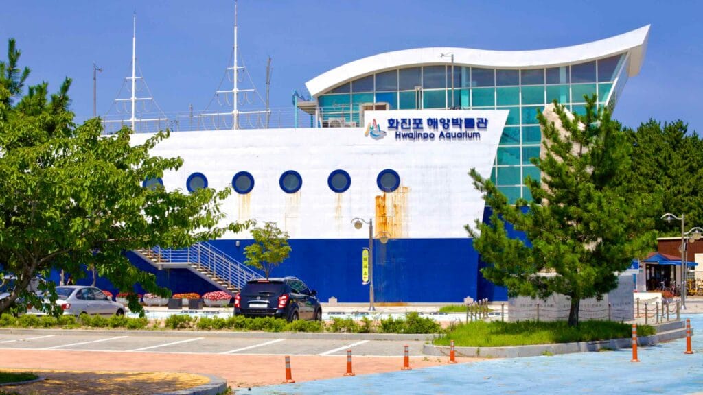 Showcasing a ship-like exterior, the Hwajinpo Marine Museum features a white and blue facade with a wave-shaped roof.