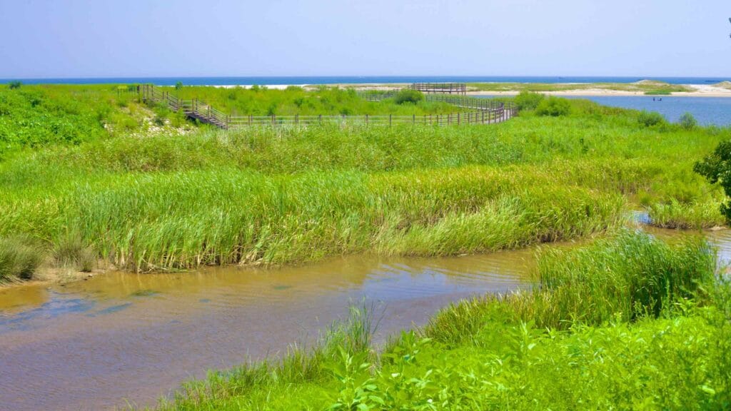A serene stream flows through marshland into the East Sea, with a bike path winding through the natural landscape near the Bukcheon Railroad Bridge.