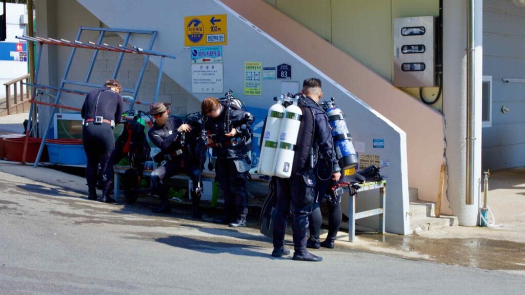Five scuba divers clad in wetsuits and equipped with tanks prepare to enter the water at Baekdo Port.