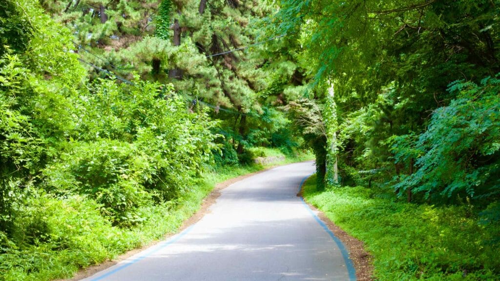 A winding bike path meanders through the hillside near Jeon Stream, enveloped under a lush green canopy of trees, offering a tranquil escape into nature on a winding concrete trail.