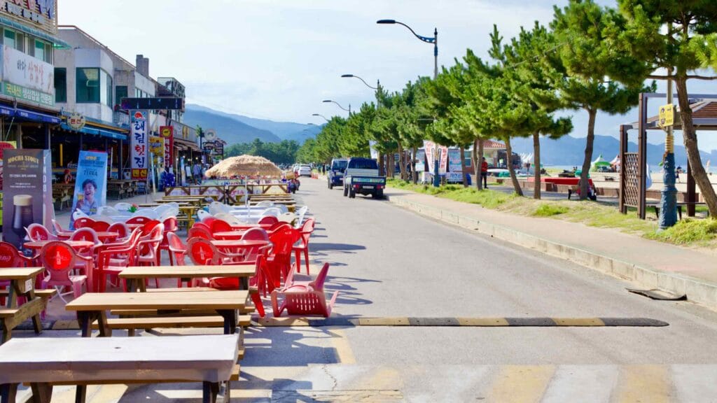 Alongside the serene Mangsang Beach, a coastal road bustling with seafood restaurants, picnic tables, and red chairs invites visitors to enjoy the scenic views and pine-lined shores.