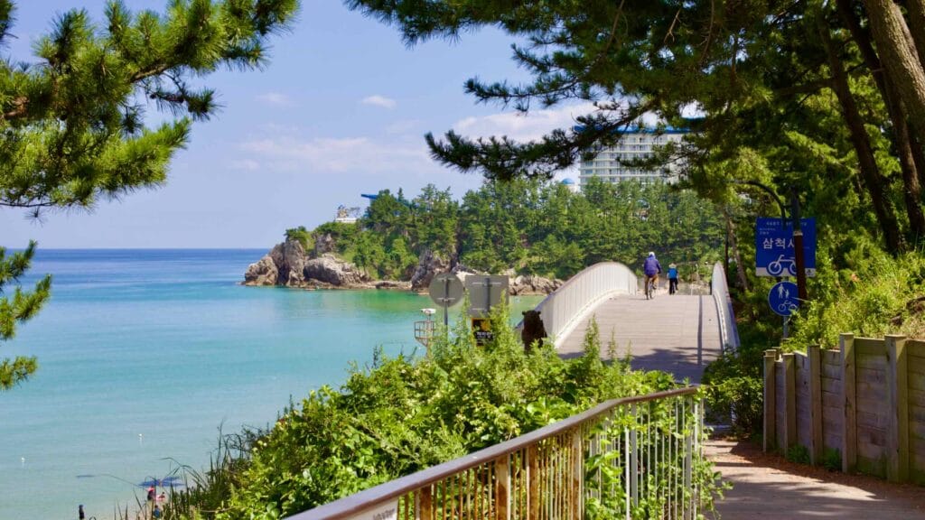 A serene raised walking and biking path near Chuam Beach, nestled behind Isabu Lion Park, features trees gracefully hanging over the trail.