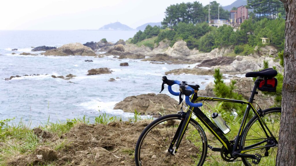 A picture of Sajin Village (사진리) near Chuksan Port, Yeongdeok County, South Korea.