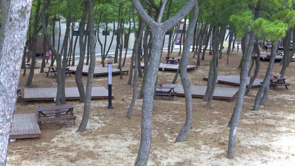 Wooden platforms for campers to pitch their tent in a campground in Daejin Beach (대진해수욕장), South Korea.