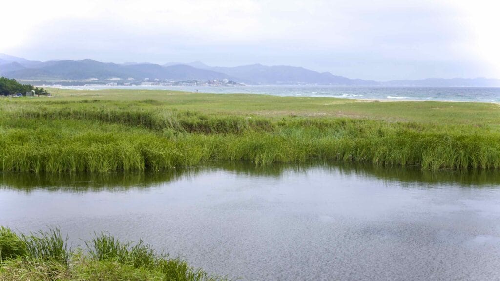 A picture of Daejin Beach (대진해수욕장) in Yeongdeok County, South Korea.