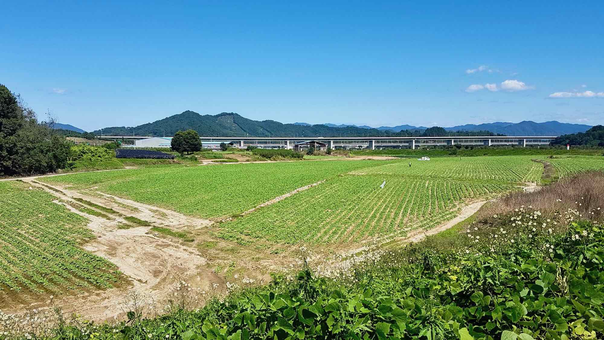 A picture of a field near the South Han River (남한강) along the Hangang Bike Path (한강자전거길) in Chungju City, South Korea.