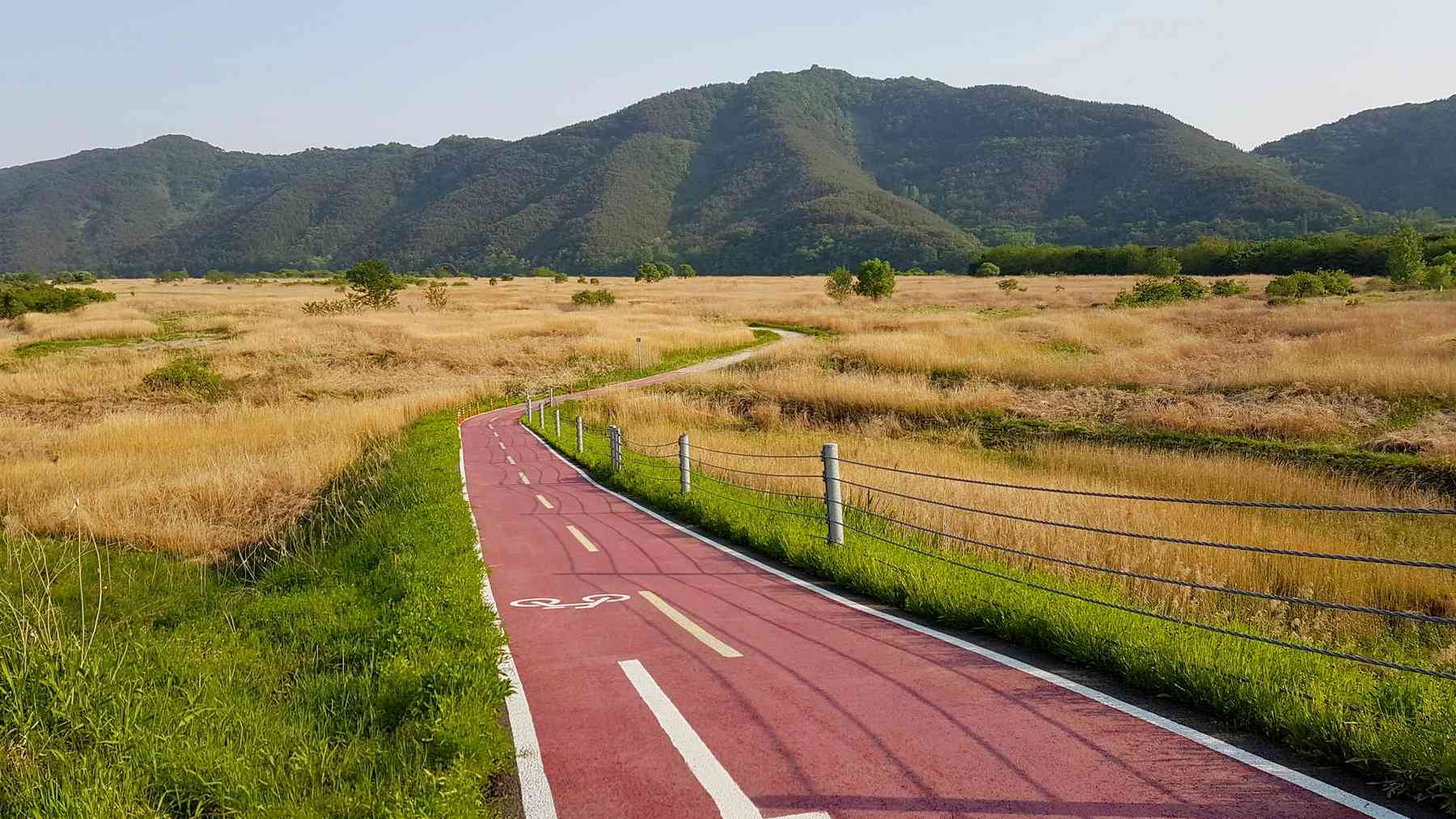 A picture of the Nakdonggang Bike Path (낙동강자전거길) in Changnyeong County, South Korea.
