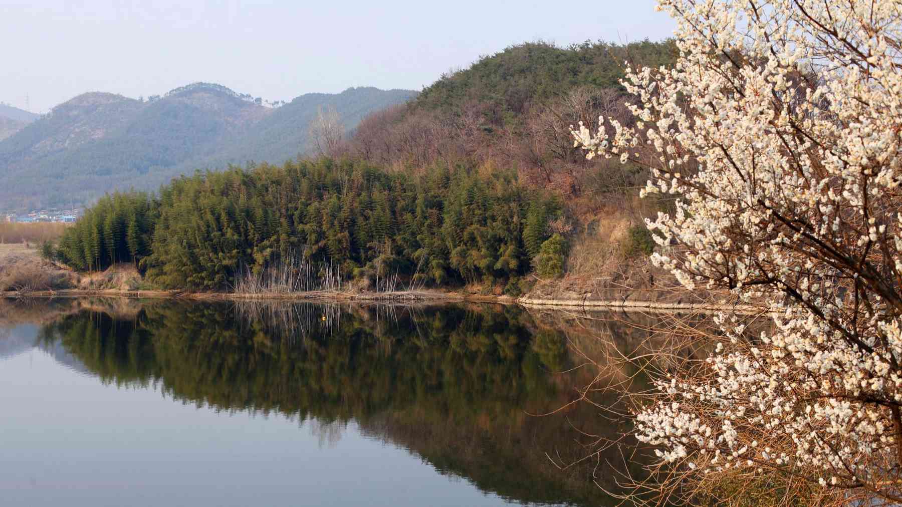 A picture of on the Nakdong River near Dodong Seowon Confucian Academy on the Nakdonggang Bike Path (낙동강자전거길) in South Korea.