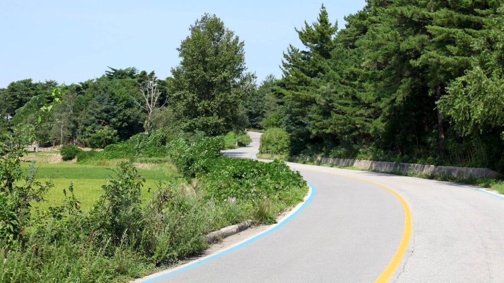 A bike path swirves uphill near Oh-ho Port, with serene mountains backdrop and a vibrant forest edge.