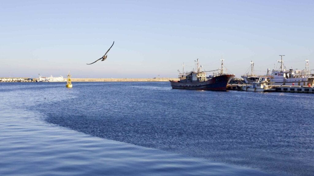 A picture of Hupo Port (후포항) in Uljin County, South Korea.