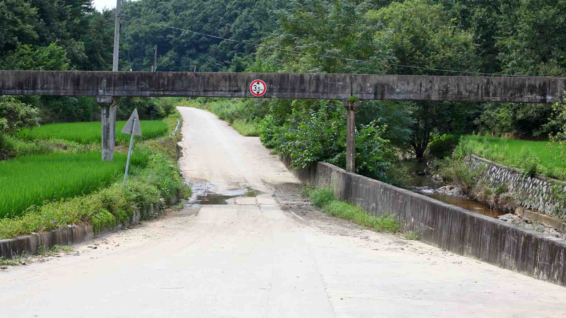 A picture of the Nakdonggang Bike Path (낙동강자전거길) between Andong and Sangju Cities along the Nakdong River in South Korea.