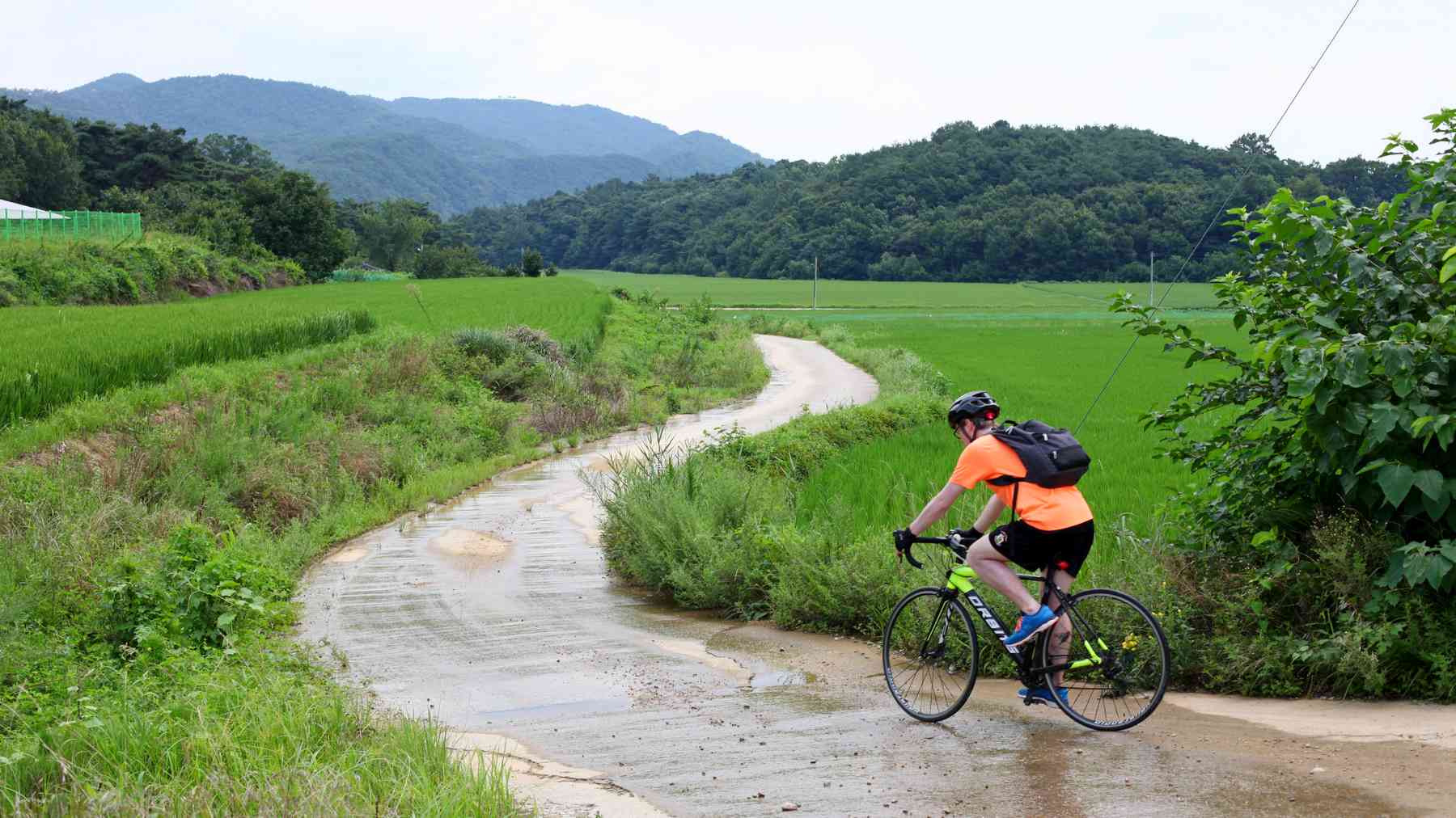 A picture of the Nakdonggang Bike Path (낙동강자전거길) between Andong and Sangju Cities along the Nakdong River in South Korea.