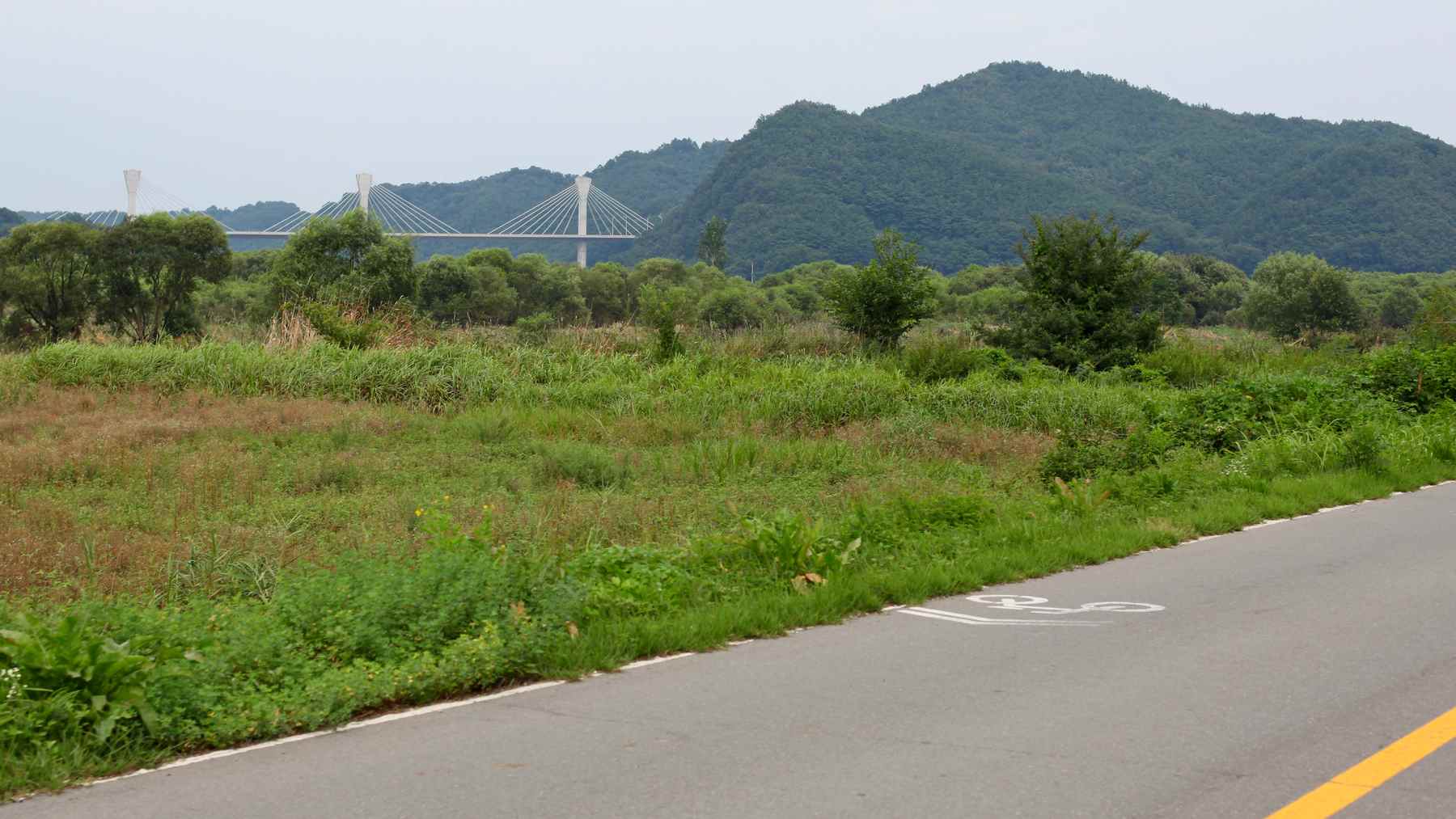 A picture of West Andong Bridge (서안동대교) crossing the Nakdong River.