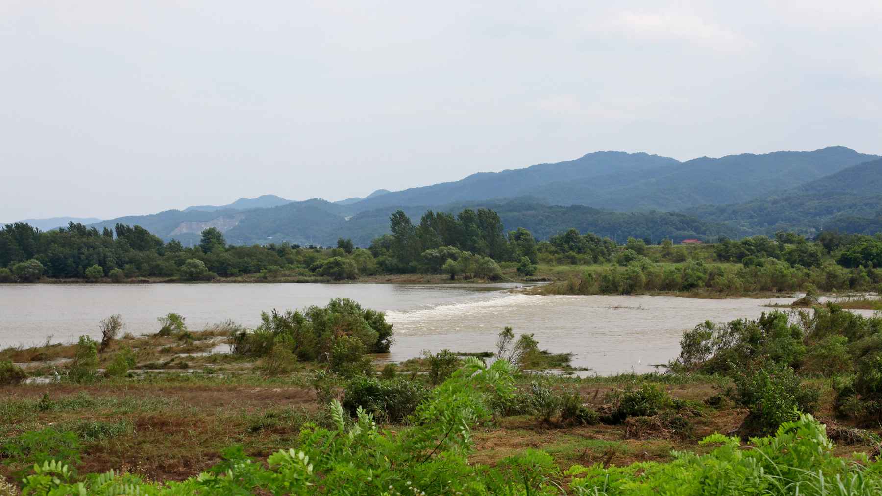 A picture of the Nakdonggang Bike Path (낙동강자전거길) along the Nakdong River in South Korea.