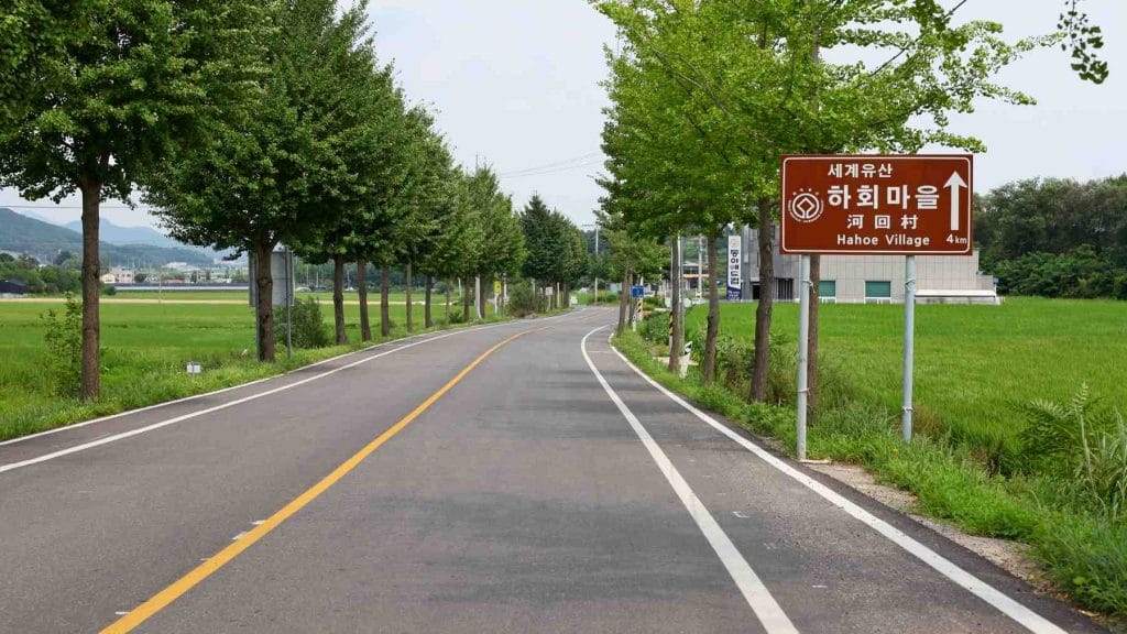 A picture of the Nakdonggang Bike Path (낙동강자전거길) along the Nakdong River in South Korea.
