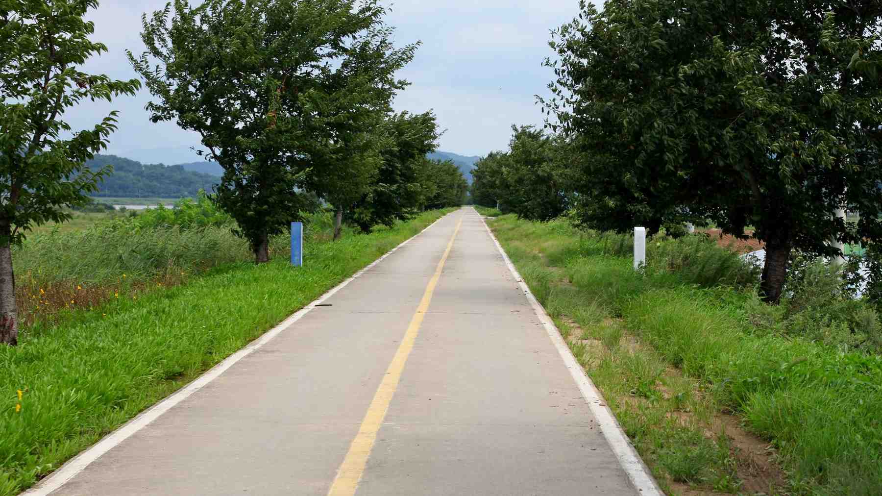 A picture of the Nakdonggang Bike Path (낙동강자전거길) between Andong and Sangju Cities along the Nakdong River in South Korea.