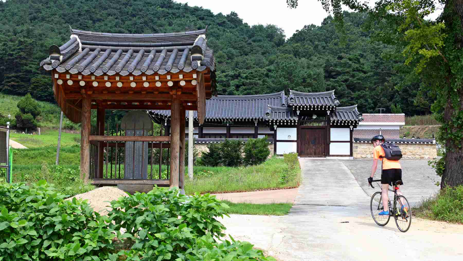 A picture of the Nakdonggang Bike Path (낙동강자전거길) between Andong and Sangju Cities along the Nakdong River in South Korea.