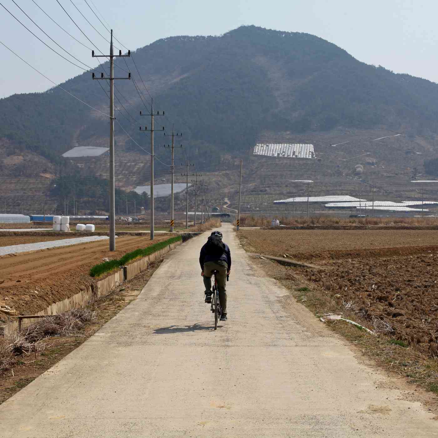 Nakdonggang-Bike-Path-Changnyeong-Busan-Farm-Roads-and-Biker-near-Changnyeong-Haman-bo-Tall