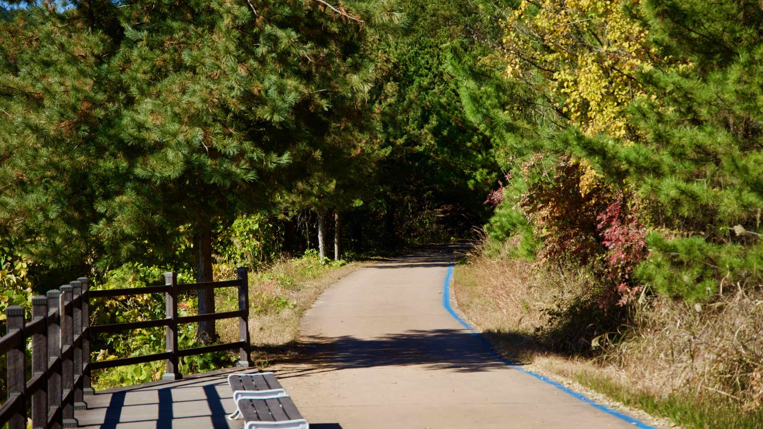 A picture of the Yeongaji (영아지고개) & Angaesil (안개실고개) Passes along the Nakdonggang Bike Path in Changnyeong County, South Korea.