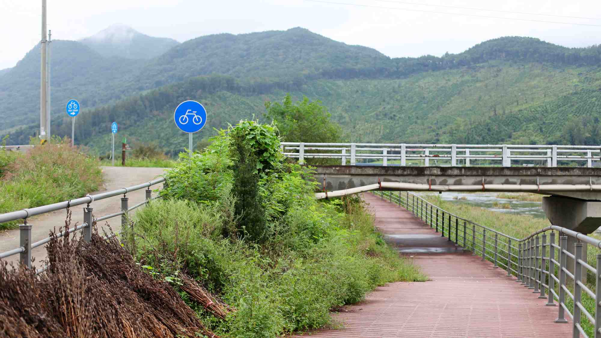 Ocheon Bike Path - Goesan Jeungpyeong - Bike Path Underpass Mountains