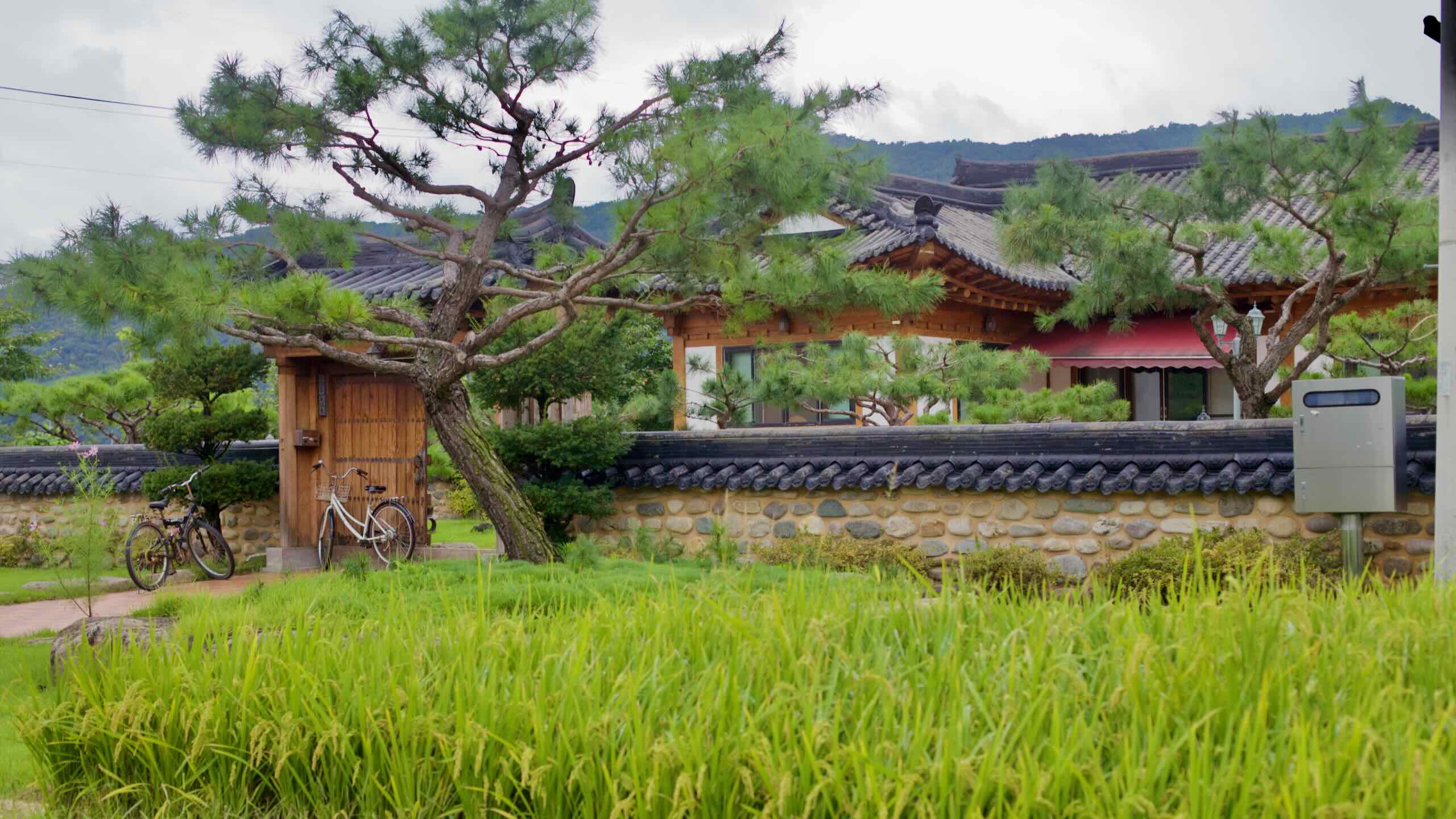 traditional Korean design