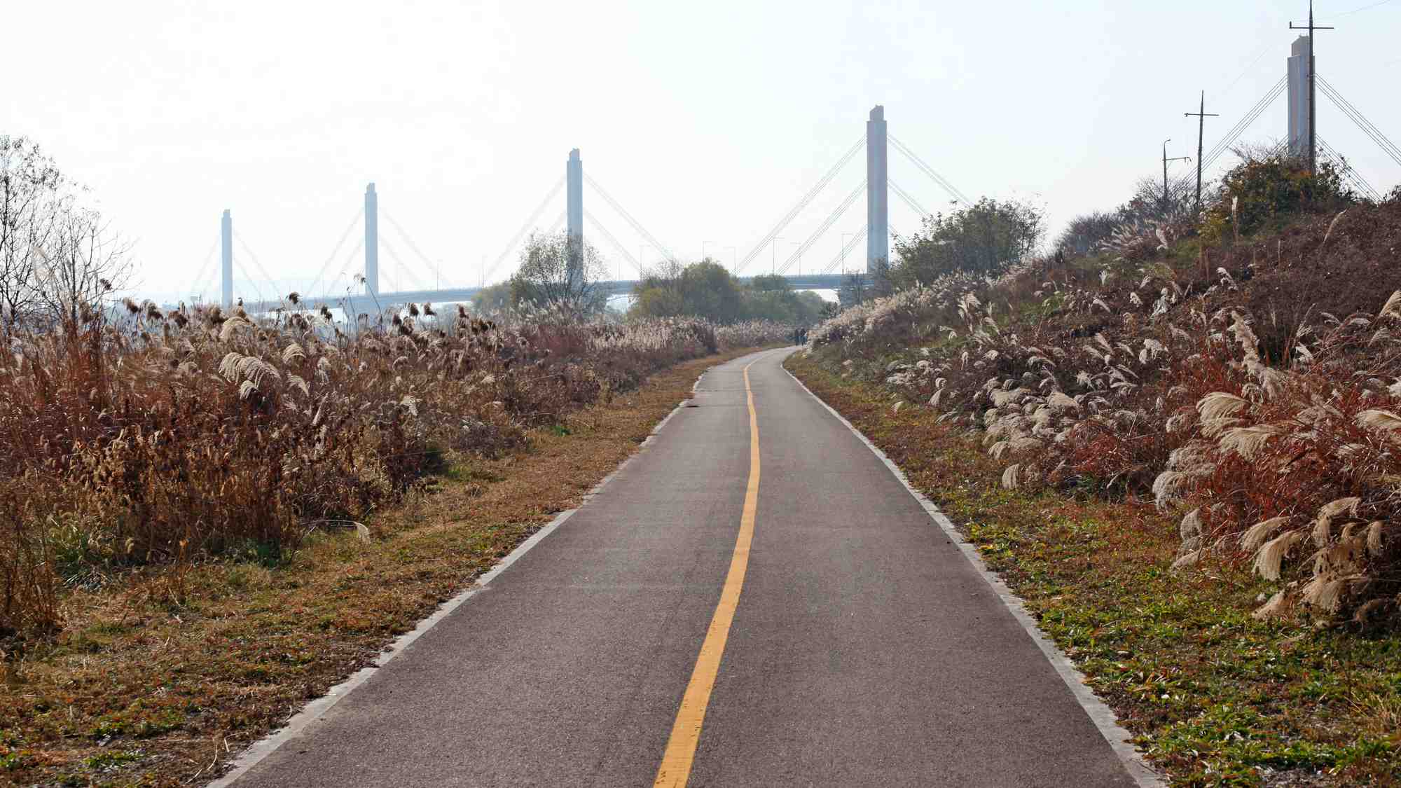 Ocheon Bike Path - Jeungpyeong Sejong - Cable Stay Bridge on Miho Stream