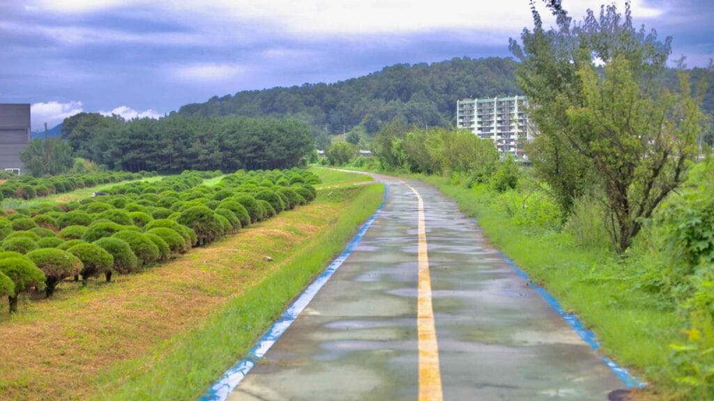 A paved bicycle path runs alongside neatly trimmed bushes and greenery near Bogang Stream.