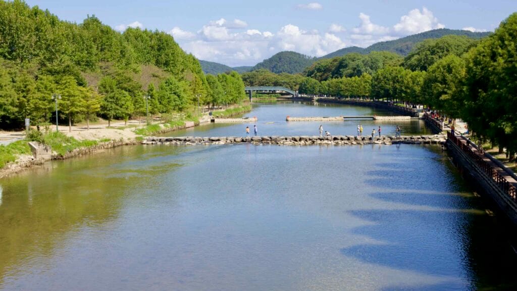Gwanbangjerim Forest lines the Yeongsan River; visitors cross the stepping stones.