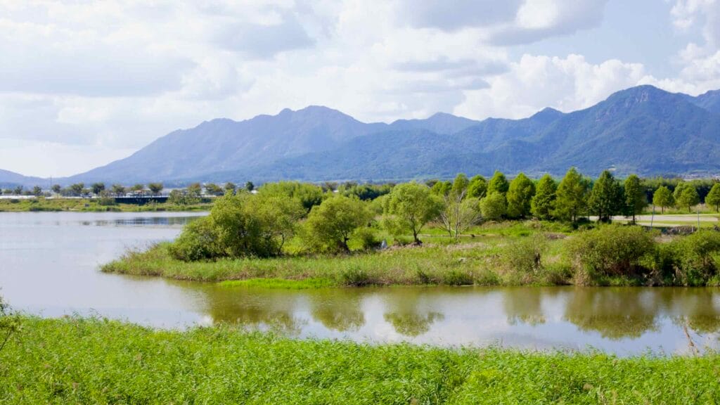 Riverside landscape in Damyang with calm waters reflecting greenery and towering mountains.