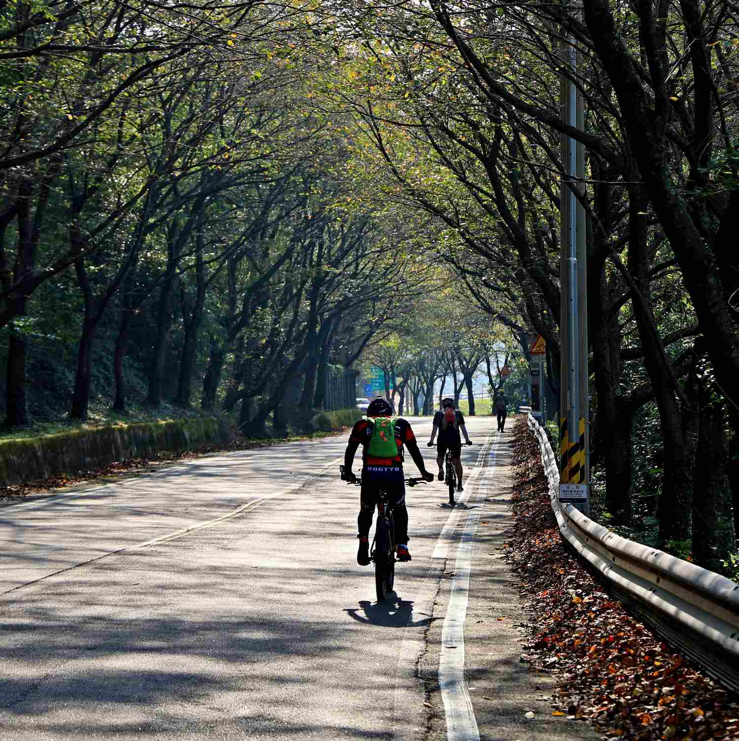 Seomjingang Bike Path - Gokseong Gwangyang - Bikers on Namdodae Bridge Road