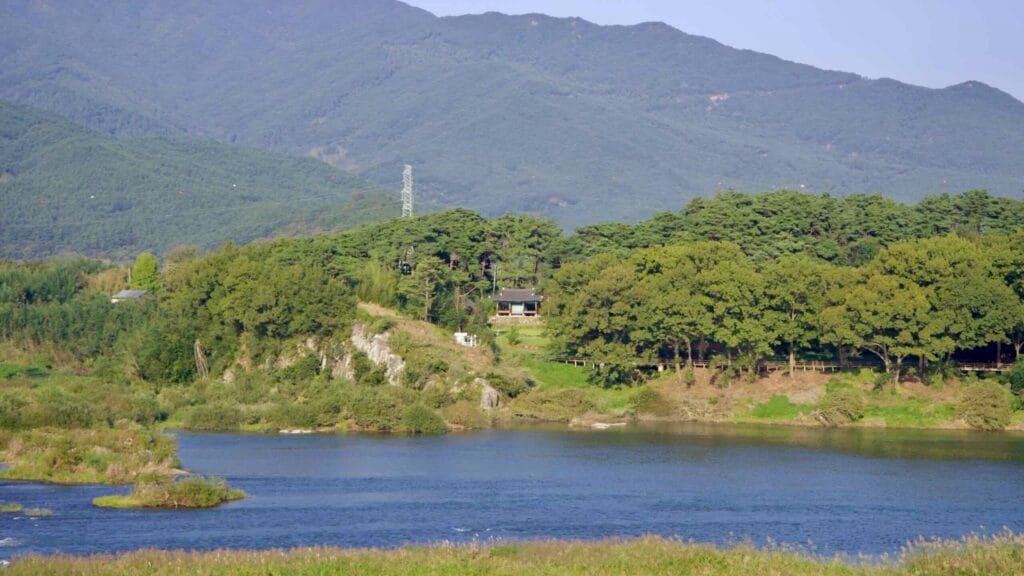 A traditional Korean pavilion nestled among green trees on a hillside.