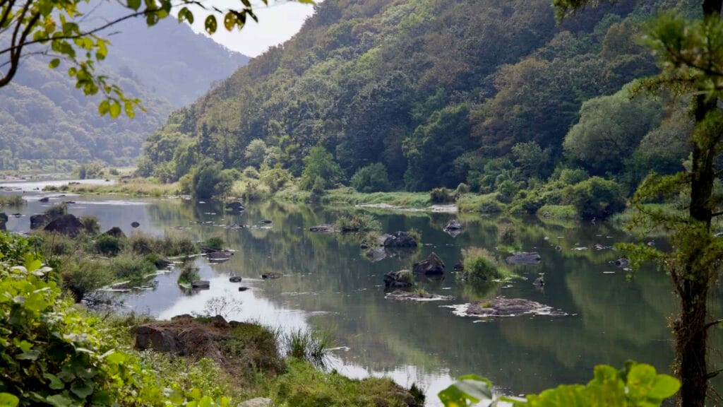 untouched nature