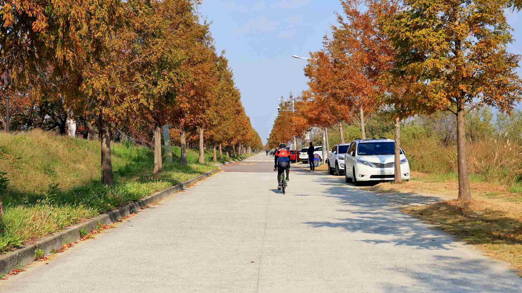 A picture of the Nakdonggang Bike Path (낙동강자전거길) in Busan City along the west side of the Nakdong River in South Korea.
