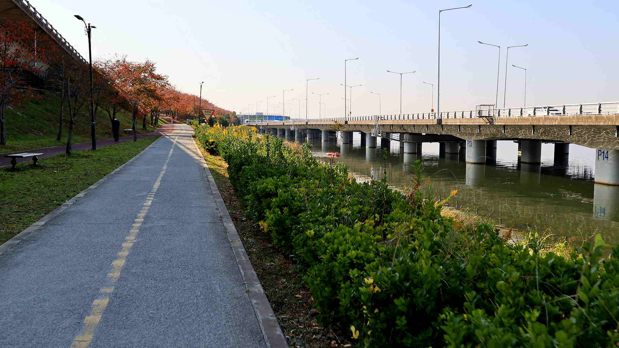 A picture of the Nakdonggang Bike Path (낙동강자전거길) in Busan City along the Nakdong River in South Korea.