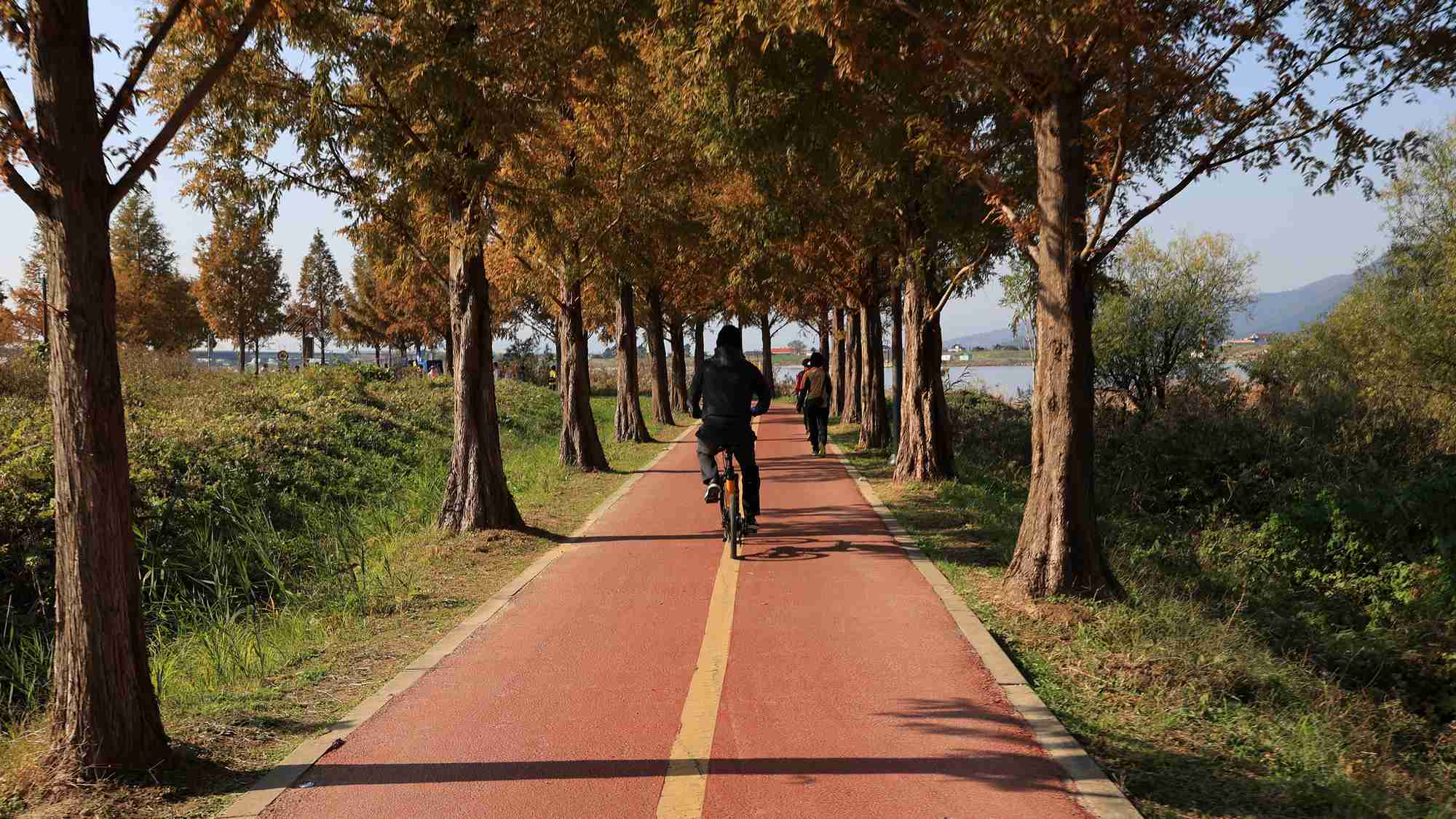 A picture of the Nakdonggang Bike Path (낙동강자전거길) along the Nakdong River in South Korea.