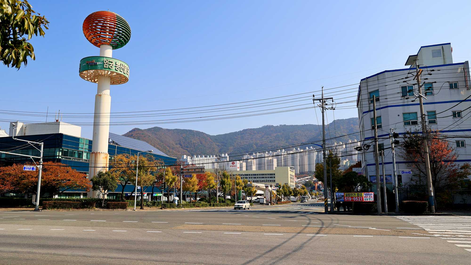 A picture of the road leading to Eomgung Agricultural Wholesale Market (엄궁 농산물 도매시장) in Busan, South Korea.