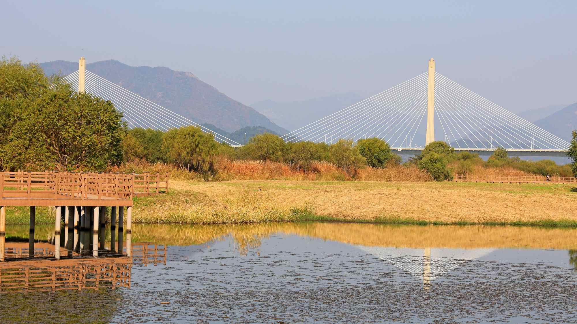 A picture of Daedong Hwamyeong Bridge (대동화명대교), which crosses the Nakdong River (낙동강) along the Nakdonggang Bike Path (낙동강자전거길) in Busan, South Korea.