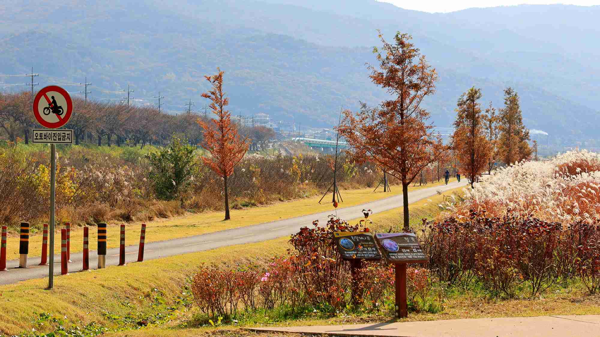 A picture of the Nakdonggang Bike Path (낙동강자전거길) along the Nakdong River in South Korea.