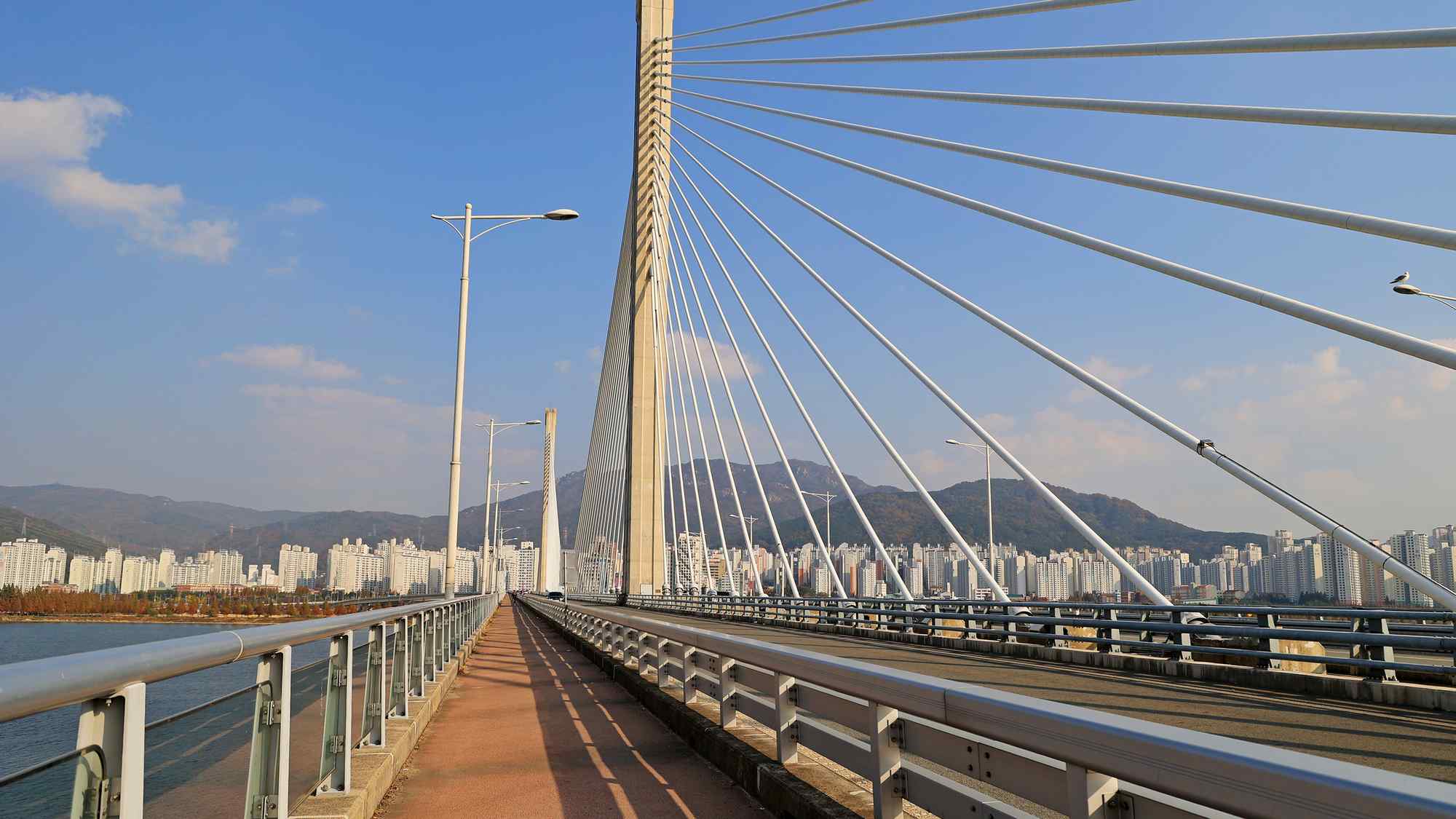 A picture of Daedong Hwamyeong Bridge (대동화명대교), which crosses the Nakdong River (낙동강) along the Nakdonggang Bike Path (낙동강자전거길) in Busan, South Korea.