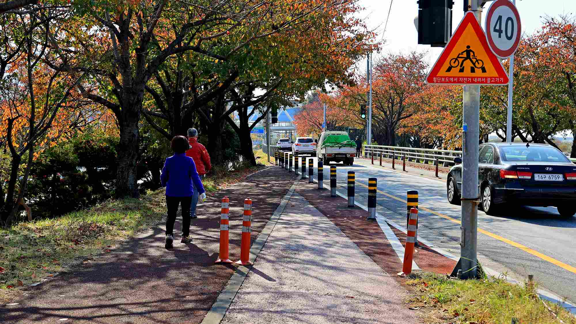 A picture of the Nakdonggang Bike Path crossing Samnak Ecological Park (삼락생태공원) along an embankment between Gangbyeon and Nakdong Roads in Busan, South Korea.