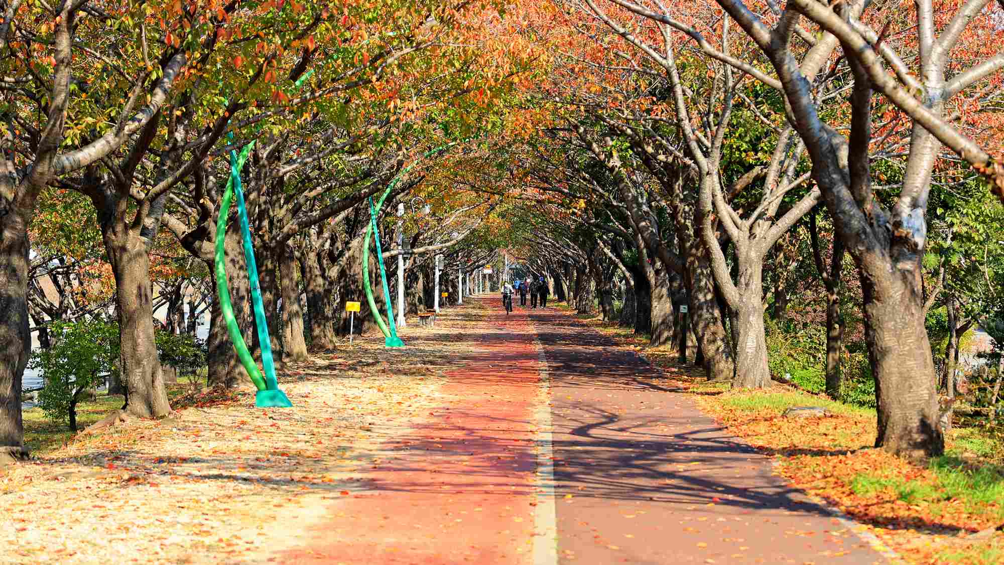 A picture of the Nakdonggang Bike Path crossing Samnak Ecological Park (삼락생태공원) along an embankment between Gangbyeon and Nakdong Roads in Busan, South Korea.