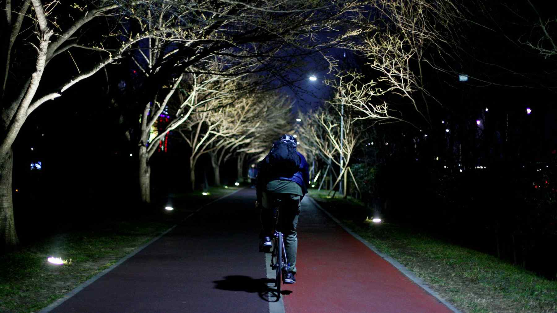 A picture of the Nakdonggang Bike Path crossing Samnak Ecological Park (삼락생태공원) along an embankment between Gangbyeon and Nakdong Roads in Busan, South Korea.