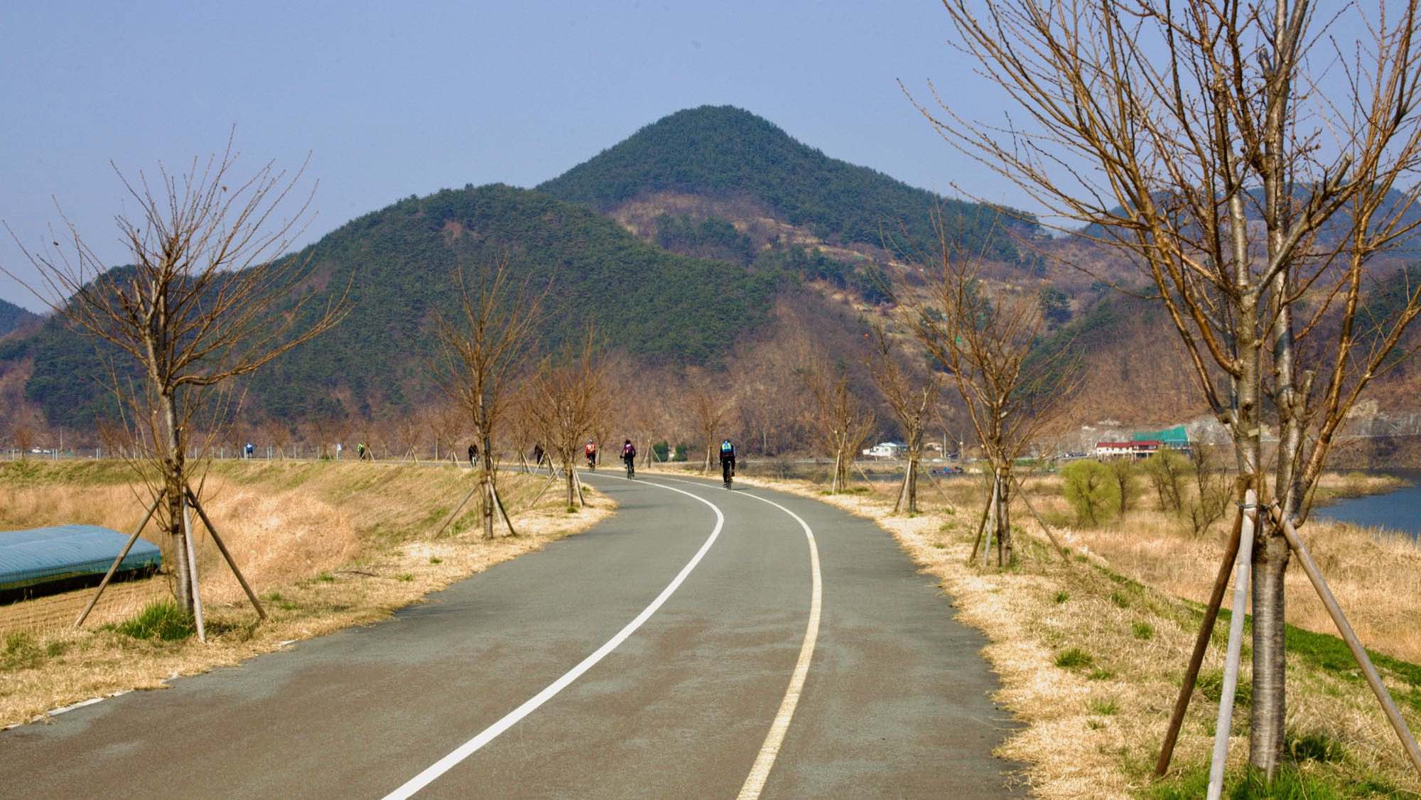 A picture of the Nakdonggang Bike Path (낙동강자전거길) along the Nakdong River in South Korea.