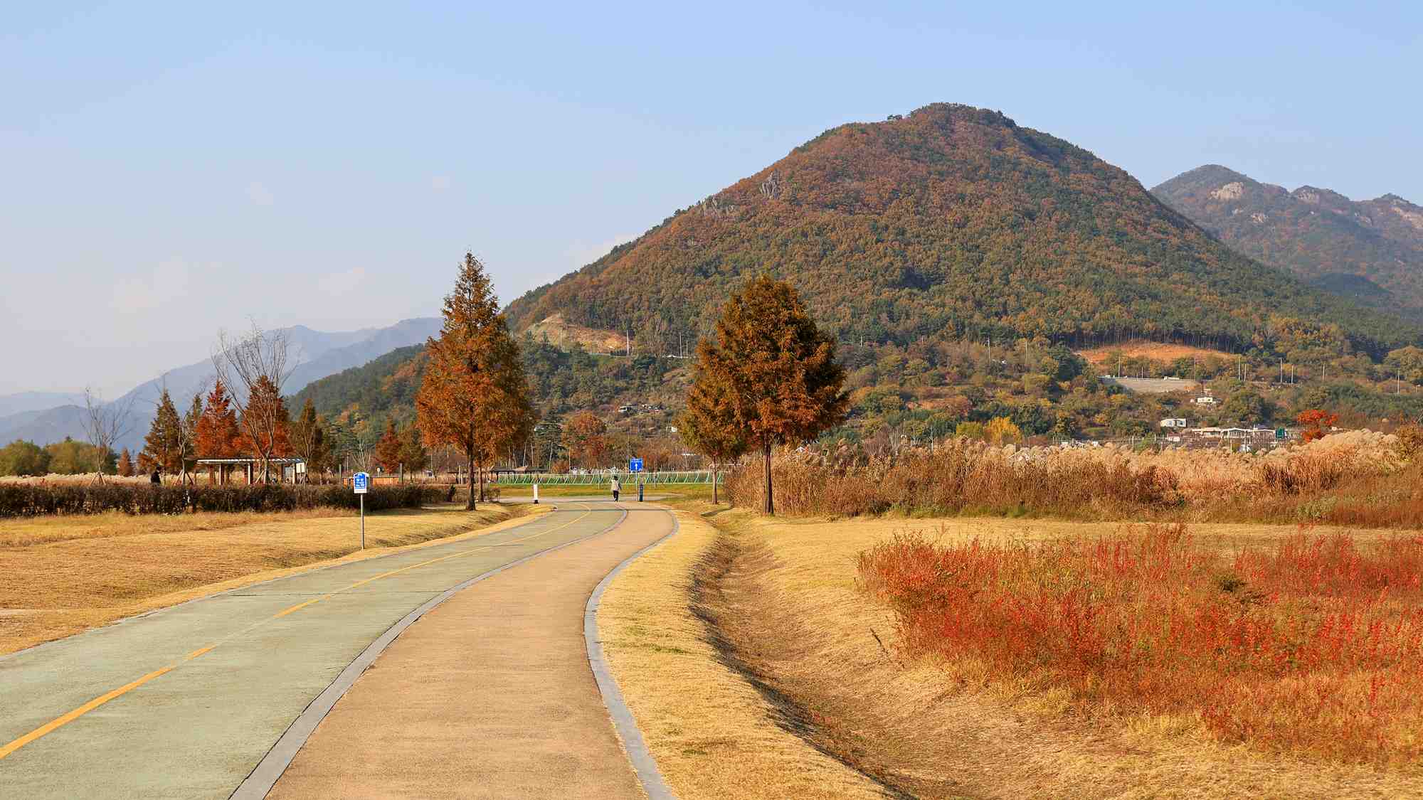 A picture of Hwangsan Park (황산공원) on the Nakdonggang Bike Path (낙동강자전거길) along the Nakdong River in South Korea.