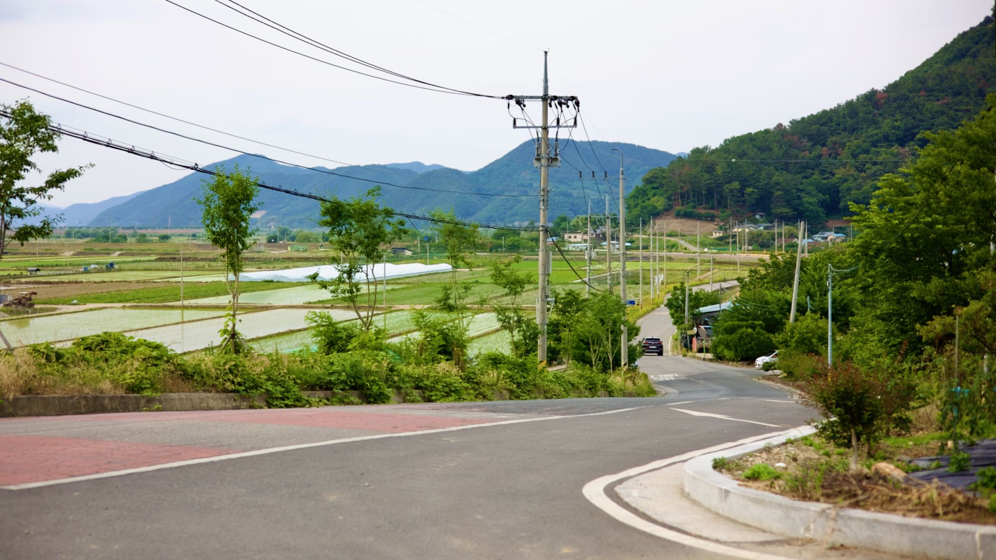 A picture of farm fields and a country road on the Nakdonggang Bike Path (낙동강자전거길) along the Nakdong River (낙동강) in Gimhae City, in South Korea.